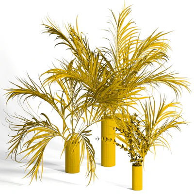 Dry palm leaves in vases — Вид 2