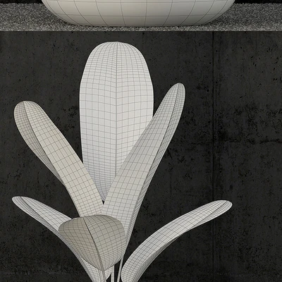 Plants collection 80 — Вид 2