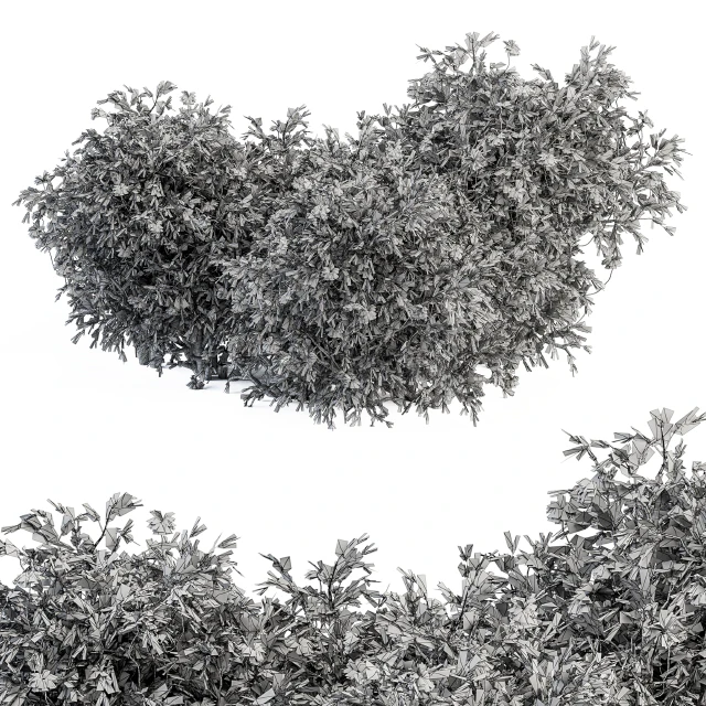 Flower Bush - Bush Set 15 — Descargar