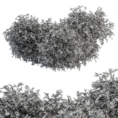 Flower Bush - Bush Set 15 — Ver 5