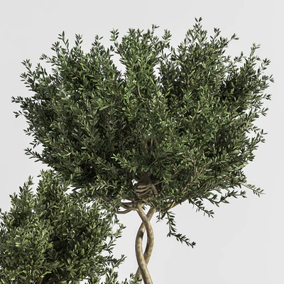 Plant Indoor with Concrete Leaf — Вид 5