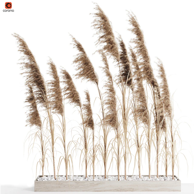 A bunch of Pampas 8 — Скачать
