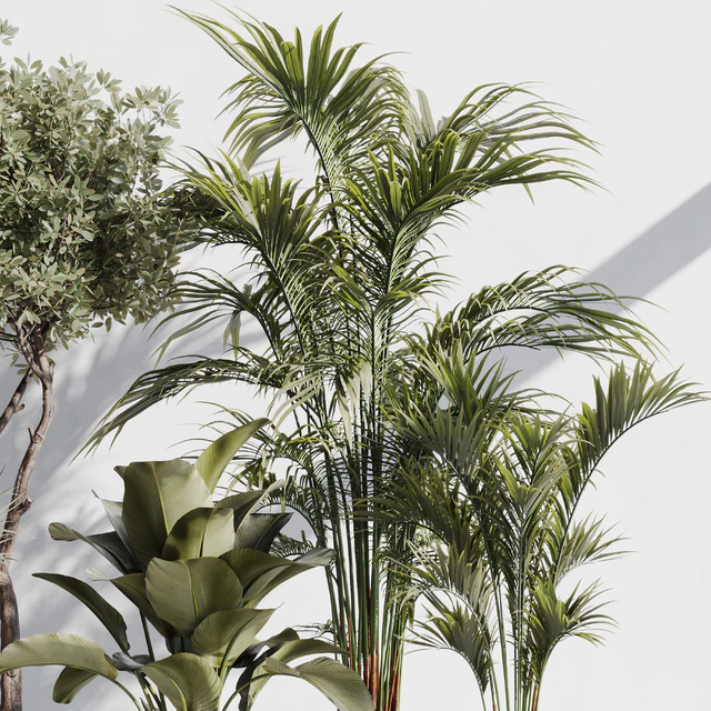 indoor plant set 78 — Descargar