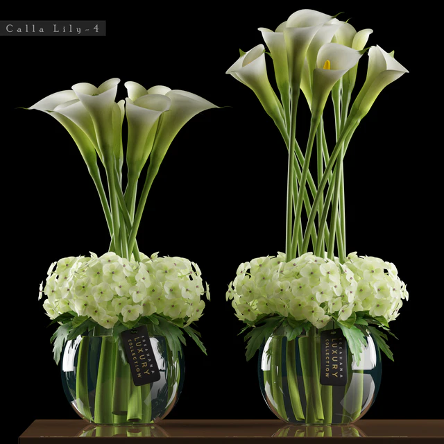 CALLA LILY — Descargar