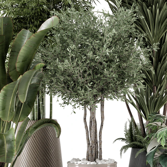 Indoor Plants in Ferm Living Bau Pot Large - Set 1325 — Descargar