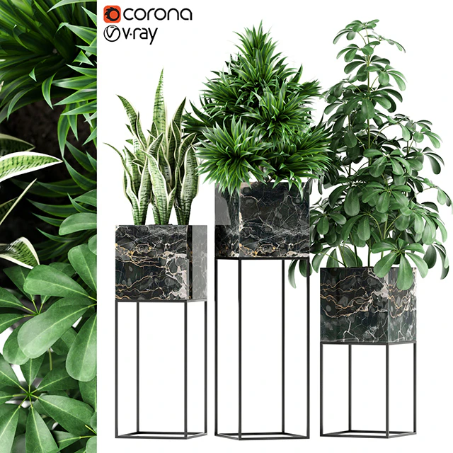 Plants collection 144 MAIA — Descargar