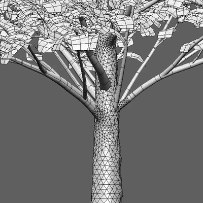 Carpinus betulus - Hornbeam - 01 — Ver 3