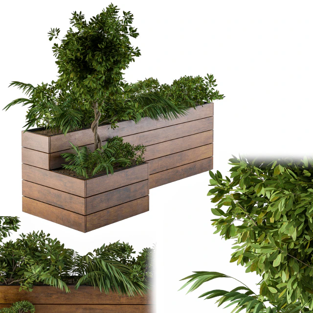 outdoor-plants Flower Box — Descargar