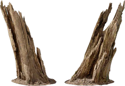 rotten tree stump 010 — Descargar