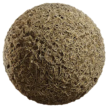grass dried 041 — Скачать