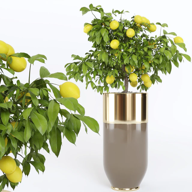 Longhi plant pot godwin cachepot — Descargar