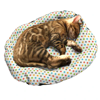 Бенгальский котёнок — Вид 5