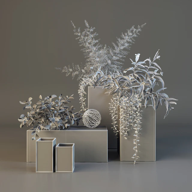 Decor set with plants — Скачать