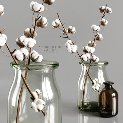 A bouquet of cotton — Ver 1
