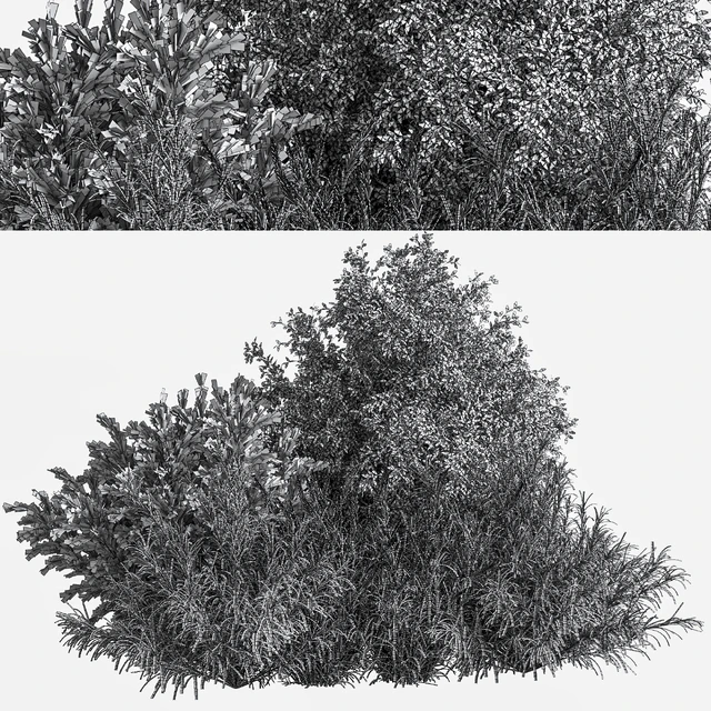 mixed plant and bush 01 — Descargar