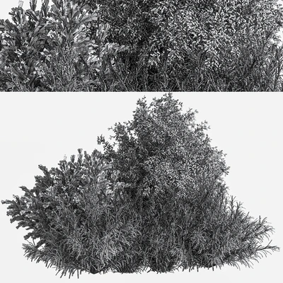 mixed plant and bush 01 — Ver 7