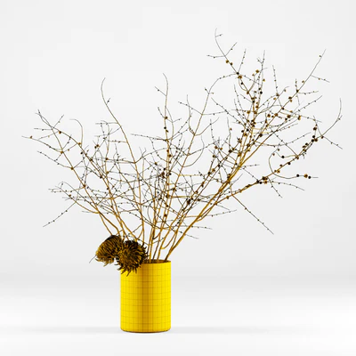 Prunus branches and chrysanthemums — Вид 3