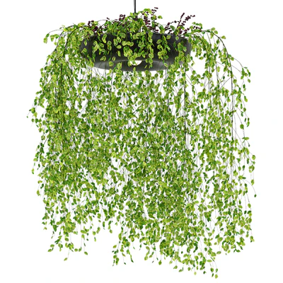 Indrid Decorative Plants Black Light By Lightmakers — Вид 4