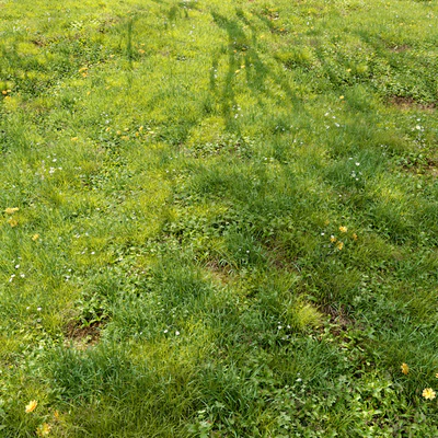 Meadow 3 — Вид 1