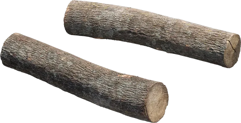 old wooden log 003 — Descargar