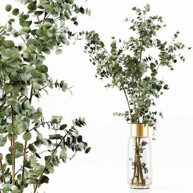 Collection Indoor Plants 034 — Descargar