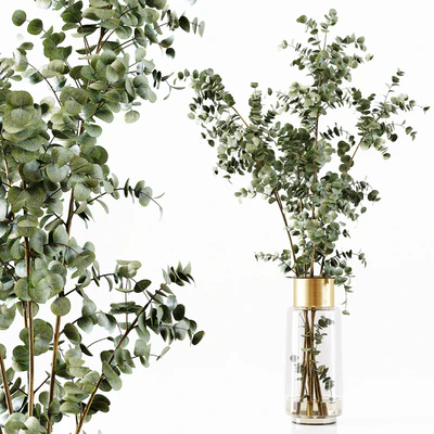 Collection Indoor Plants 034 — Ver 7