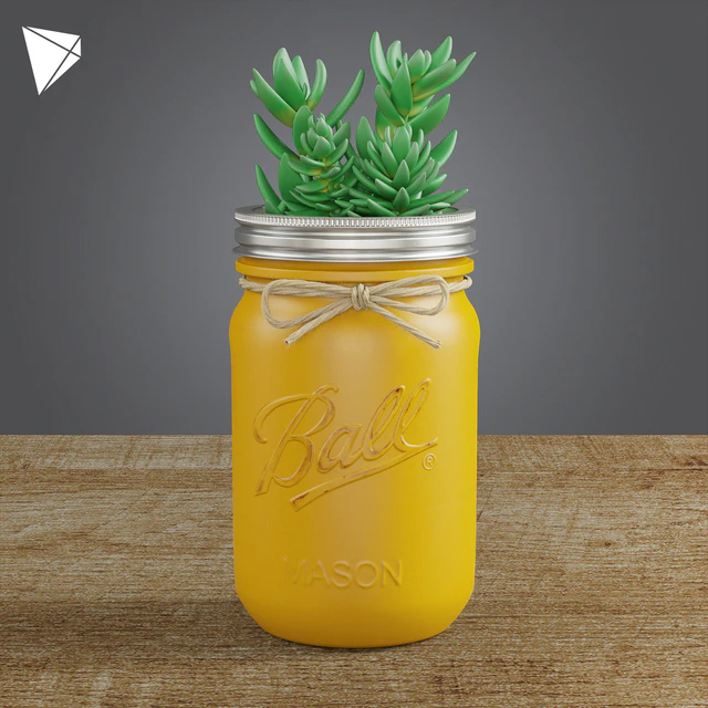 Pot Ball Mason Jar Succulent — Скачать