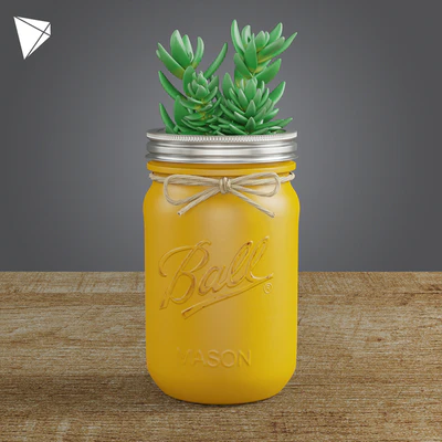 Pot Ball Mason Jar Succulent — Вид 3