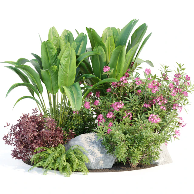 Outdoor Garden Plants Collection vol 136 — Скачать