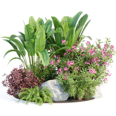 Outdoor Garden Plants Collection vol 136 — Вид 1