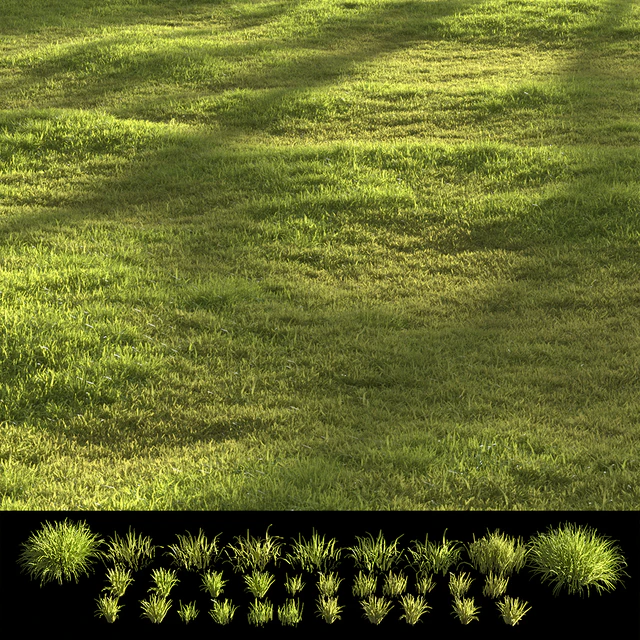 Garden grass — Descargar