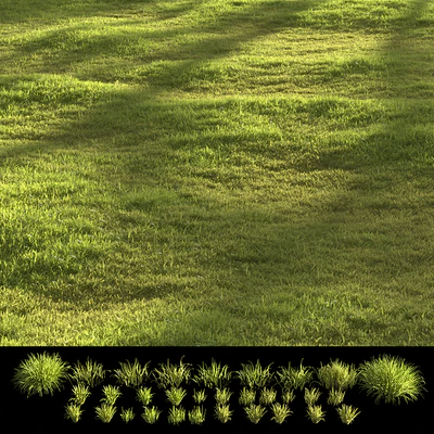 Garden grass — Ver 5
