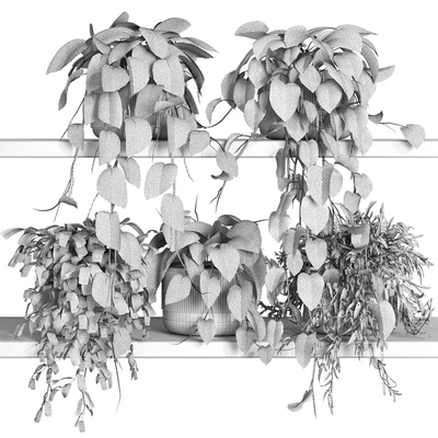 plants on shelf 22 — Вид 3