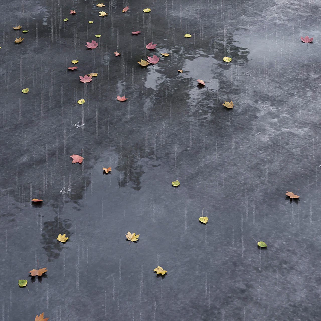 Autumn road with leaves and puddles — Descargar