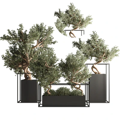 indoor plant bonsai set 24 — Ver 1