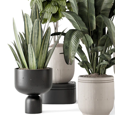 Indoor Plants in rusty Concrete Pot - Set 1286 — View 4