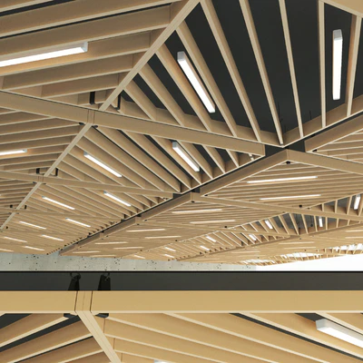 Wooden suspended ceiling 13 — Ver 1