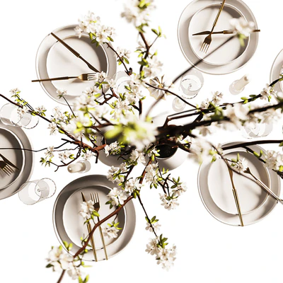 table setting  modern style — Вид 3