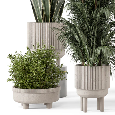 Indoor Plants in Standing Legs Small Bowl Concrete Pot - Set 788 — Ver 5