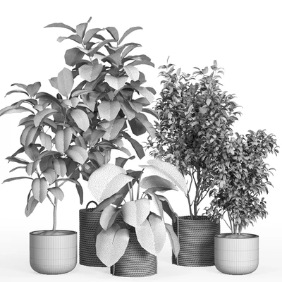 indoor plant set 55- rattan and concrete — Вид 3