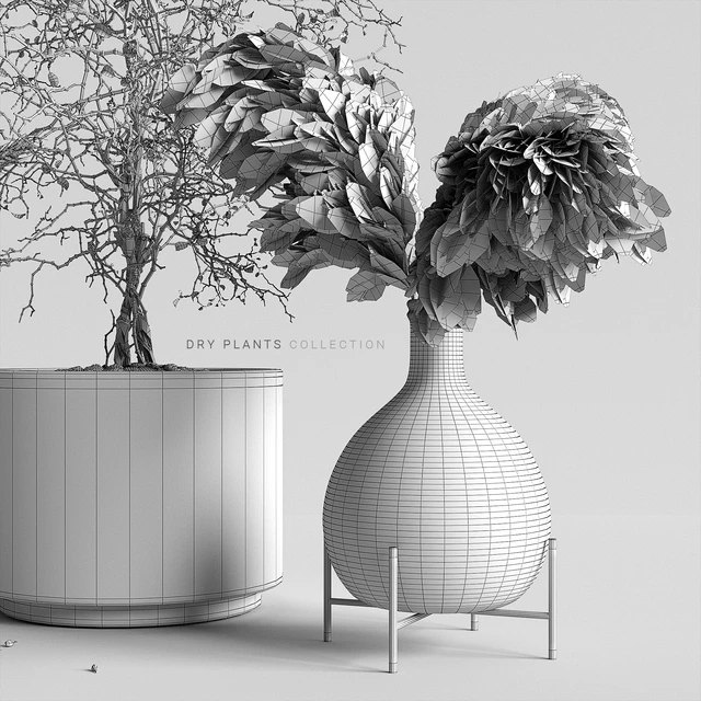Dry plants collection — Скачать