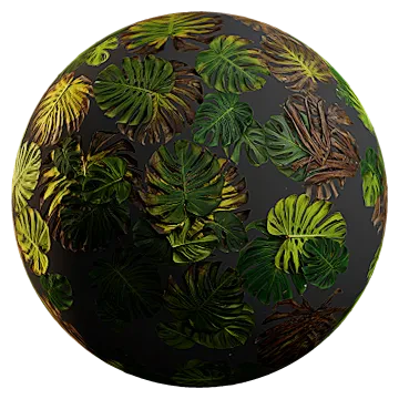 swiss cheese plant 001 — Descargar
