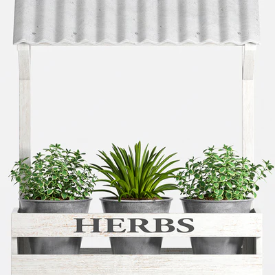 Herbs Plant -23 — Ver 2