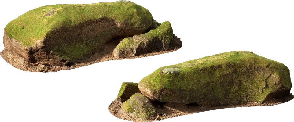 mossy forest boulder 003 — Скачать