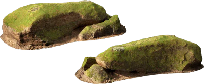 mossy forest boulder 003 — Скачать