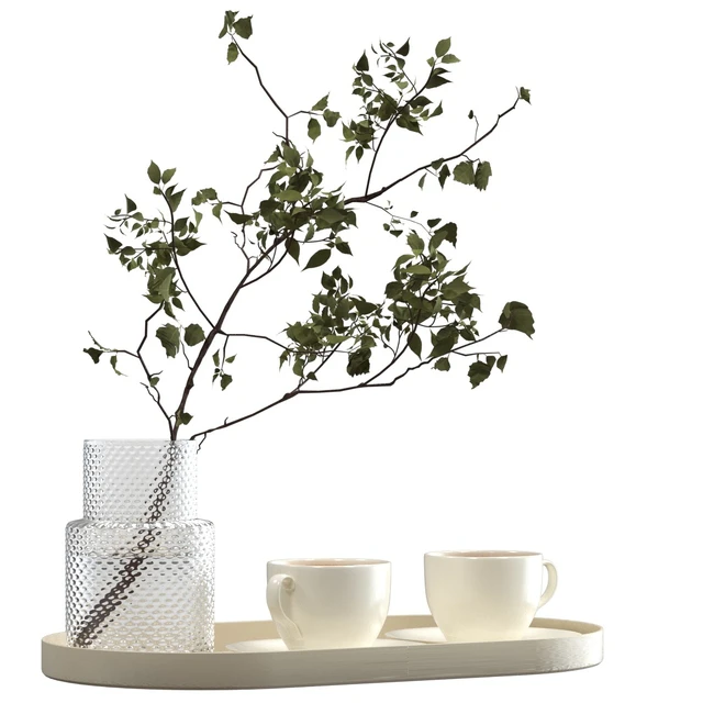 Two cups of cappuccino on a tray — Descargar