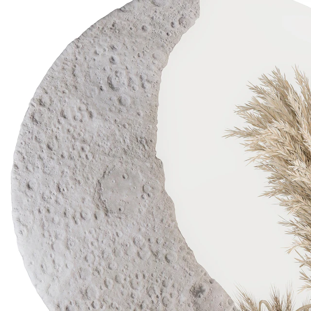Decorative Set moon mirror with Dried Plant - Set 100 — Descargar