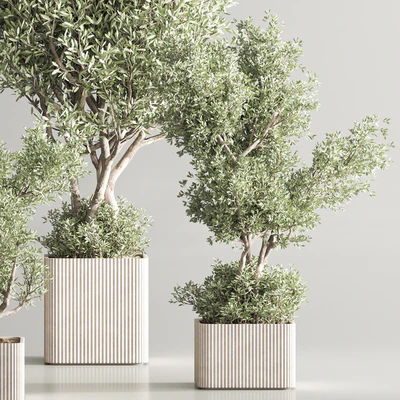 Indoor Plant Set 82 — Ver 5