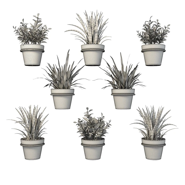 Clay pots with herbs on the wall — Descargar