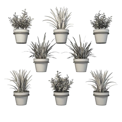 Clay pots with herbs on the wall — Ver 3